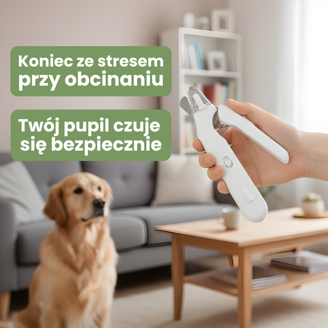 PazurOFF - Spokój przy każdej łapie